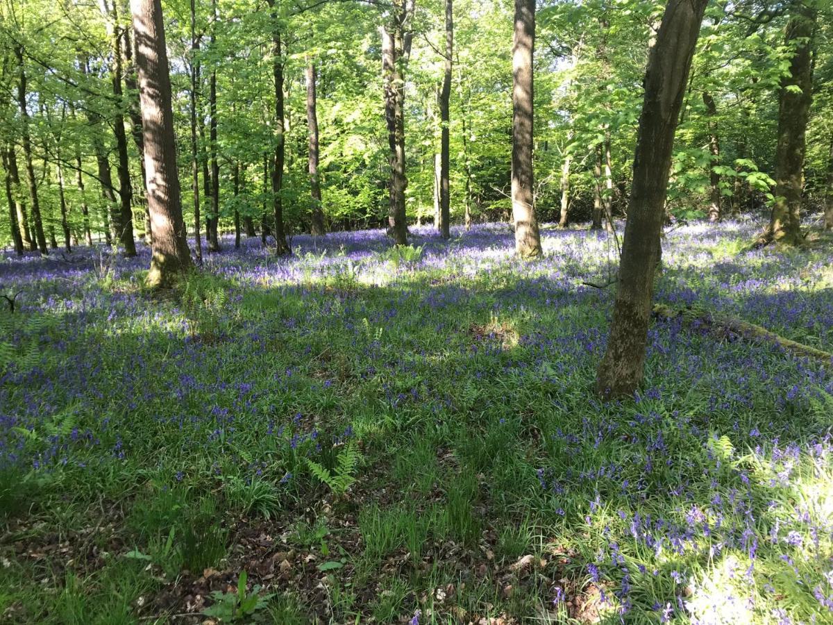 Ingledale Apartment, Ingleton, Yorkshire Dales National Park, Famous Three Peaks, Near The Lake District, Pets Are Welcome إنغيلتون المظهر الخارجي الصورة