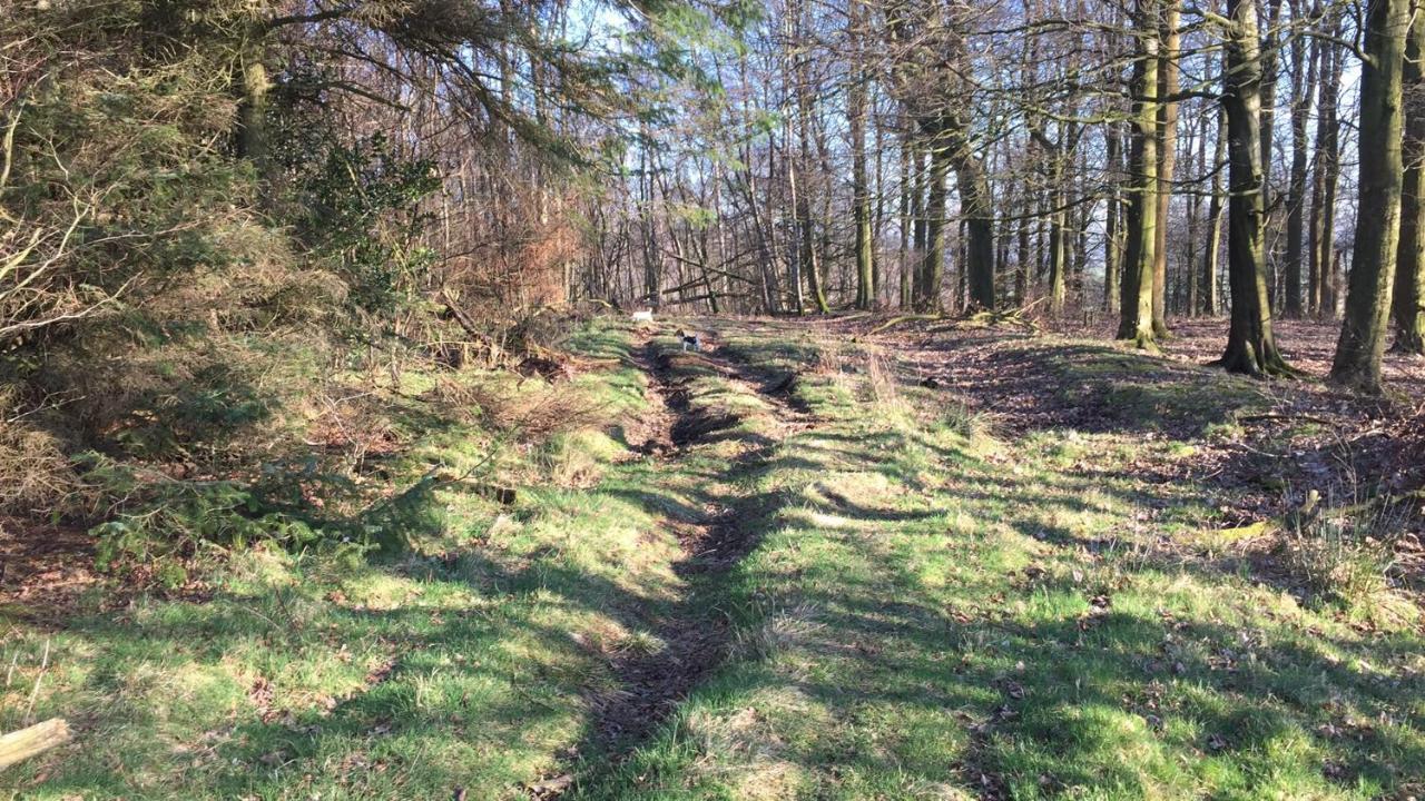Ingledale Apartment, Ingleton, Yorkshire Dales National Park, Famous Three Peaks, Near The Lake District, Pets Are Welcome إنغيلتون المظهر الخارجي الصورة